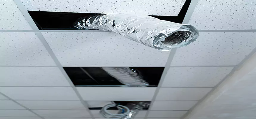 Our Air Duct Pet Hair Removal Services in North Plainfield, NJ