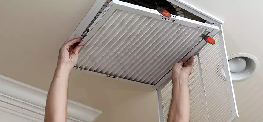 Our Insect Removal from Air Ducts Services in North Plainfield, NJ