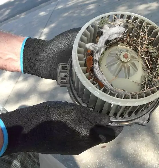 About Air Duct Mice Removal in North Plainfield, NJ