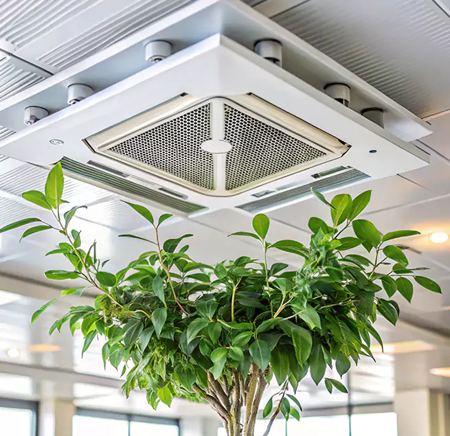 Why Homeowners & Businesses Trust Us in North Plainfield, NJ?